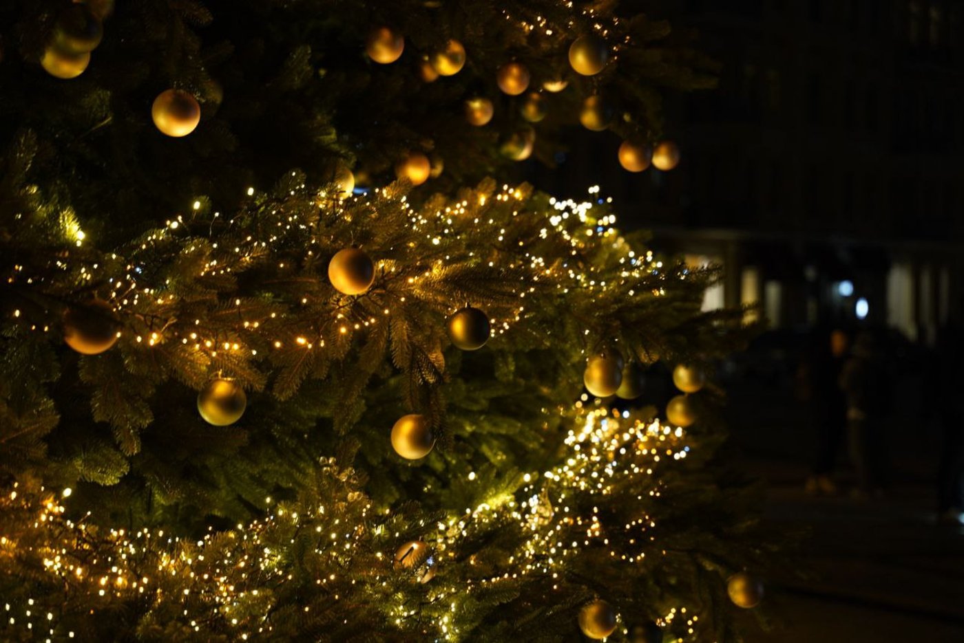 Головна ялинка країни