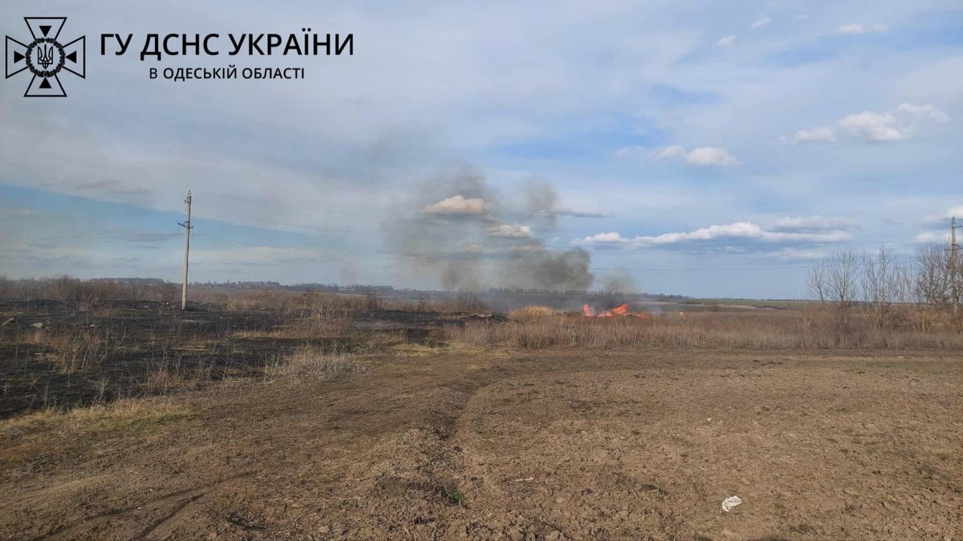 Сожгли 8 га земли: жители Одесчины получили штраф за устроенный пожар