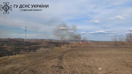 Сожгли 8 га земли: жители Одесчины получили штраф за устроенный пожар - 285x160