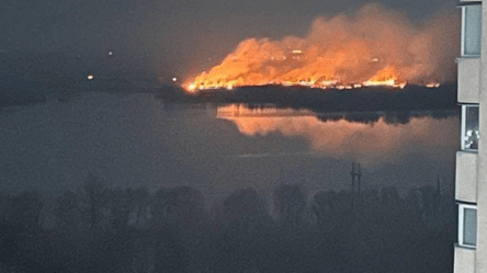 У Києві сталася масштабна пожежа на території екопарку - 285x160