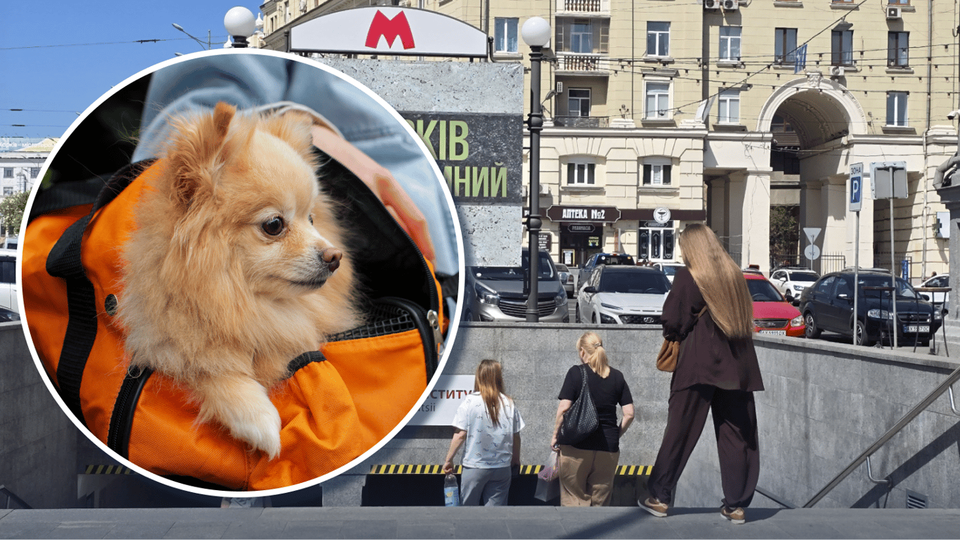 У метро Харкова дозволяють безкоштовно перевозити собак: проте є умова