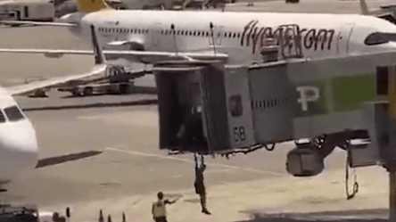 В Турции отец с сыном пытались остановить самолет голыми руками: видео - 285x160