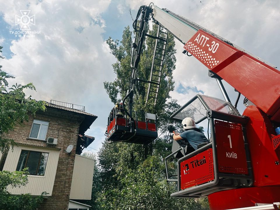 ДСНС України