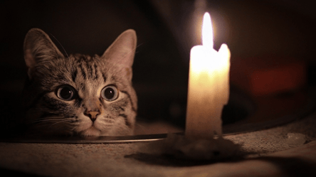 Львів та область — графік відключень світла на 8 листопада - 285x160