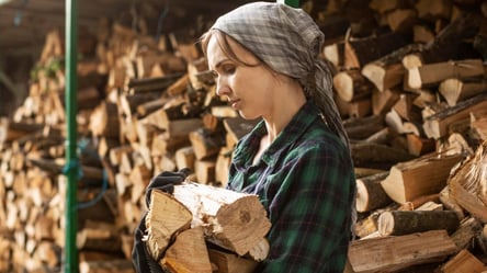 Денежная помощь от Каритас — кто получит 19 тыс. грн на дрова - 285x160