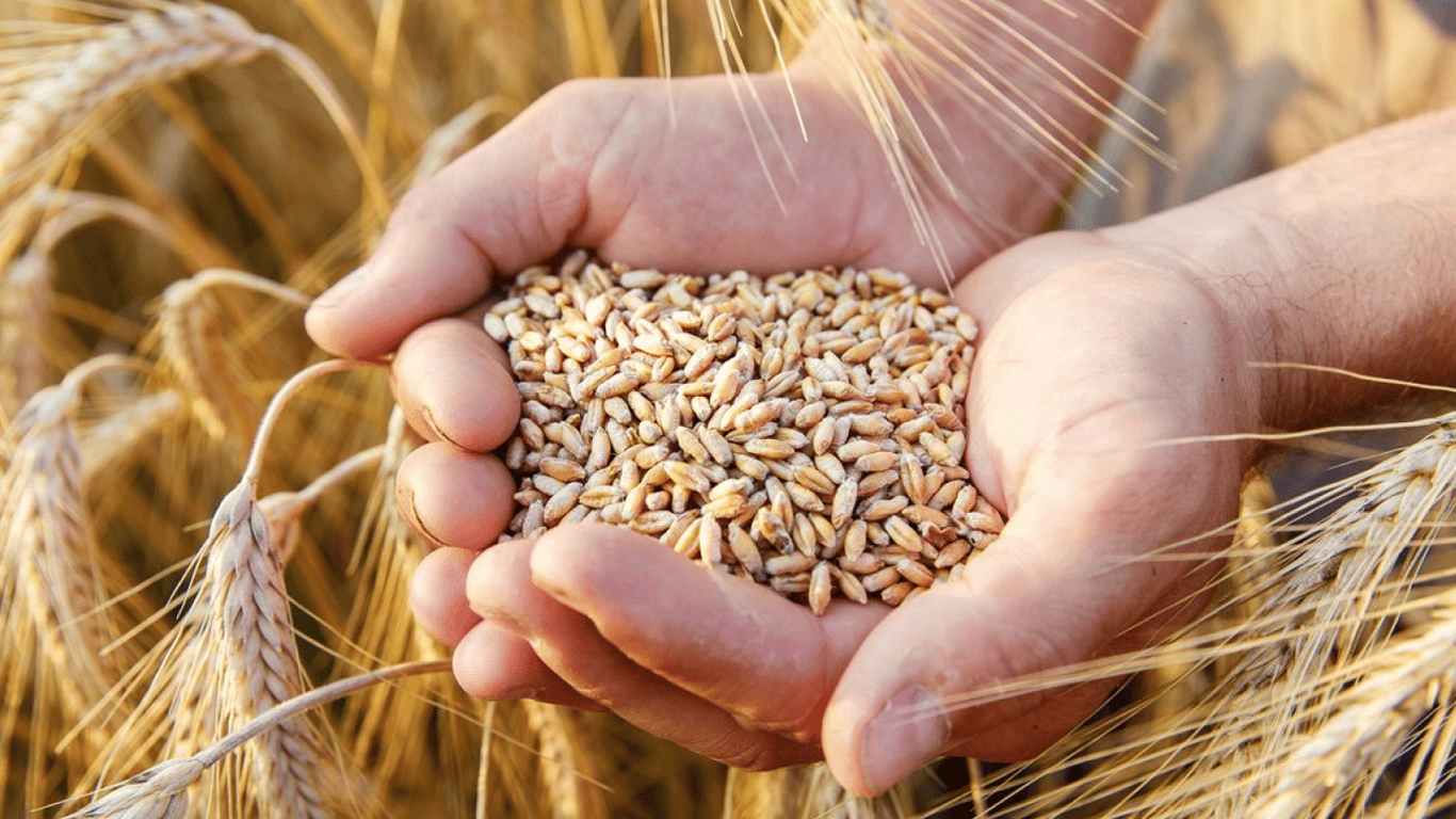 СБУ разоблачила бизнесмена, который вывозил зерно из Бердянска в РФ