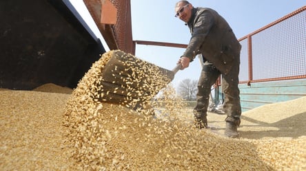 Фуражний ячмінь на експорт вже подорожчав до 9 000 грн за тонну - 285x160