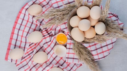 Контроль якості — як перевірити курячі яйця - 290x160