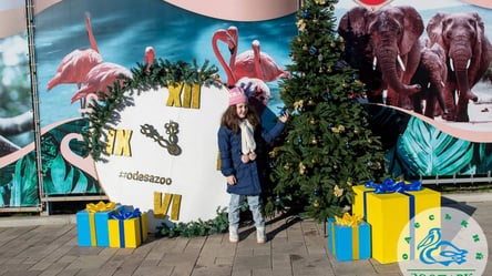 В Одесском зоопарке поздравили детей с Новым годом - 285x160
