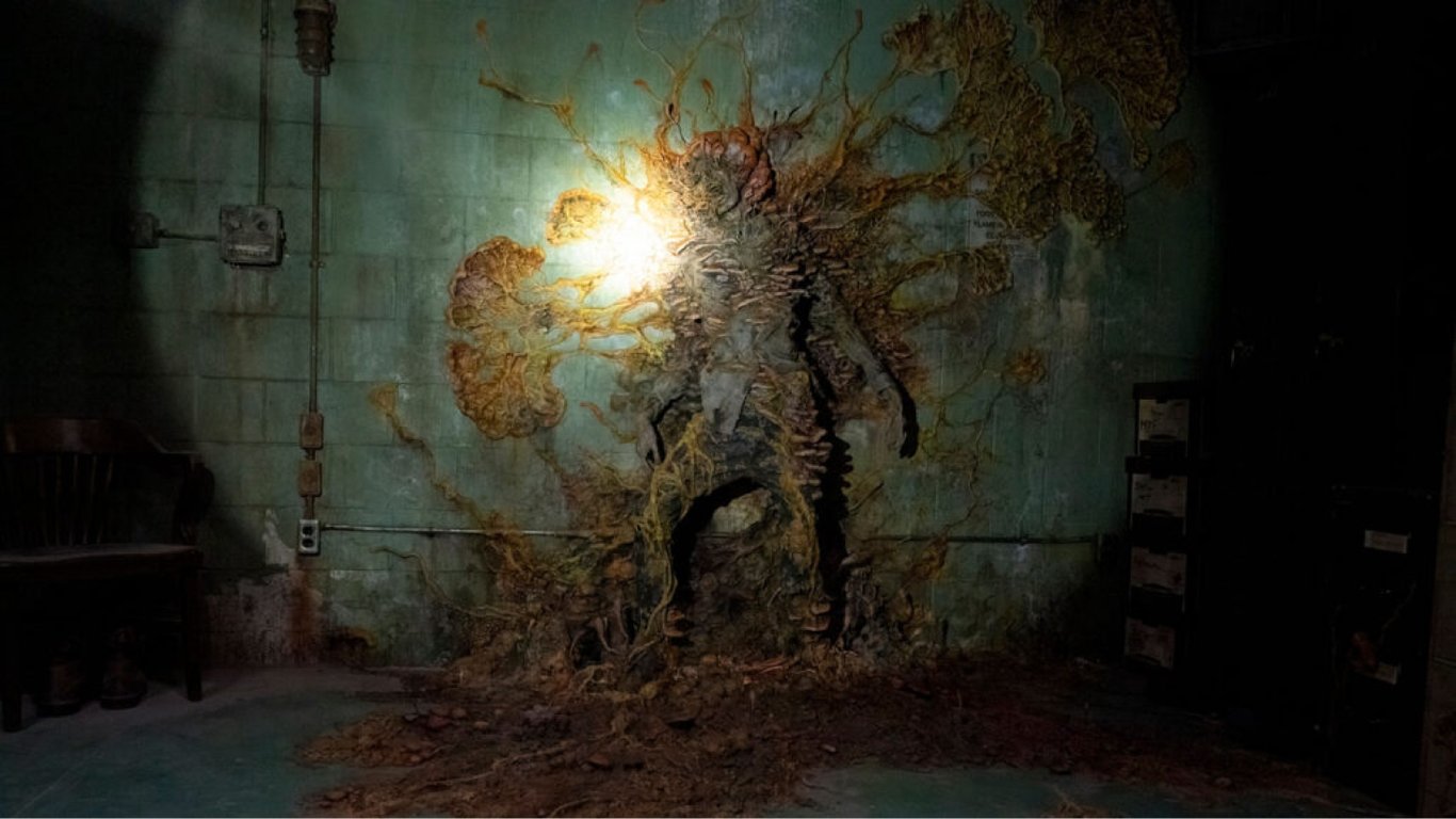 ​​​​​​​Чи можливий грибний зомбі-апокаліпсис, як у The Last of Us: науковиця дала вичерпну відповідь