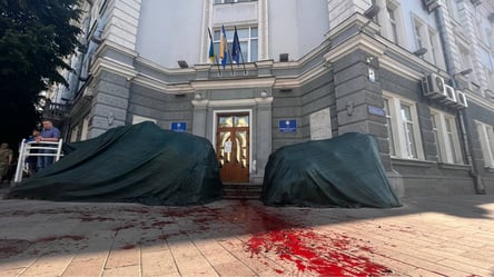 Протест против драгоценной брусчатки и плитки: вход в горсовет Житомира облили "кровью" - 285x160