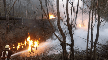 Взрыв нефтепровода в поселке Стрымба: количество пострадавших возросло - 285x160
