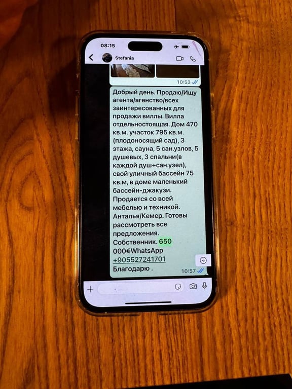 Друзь спілкувався з рієлтором щодо покупки вілли у Туреччині