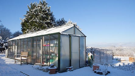 Сніг у теплиці взимку — як і навіщо його накидати на грядки - 285x160