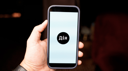 У застосунку "Дія" стався збій — що відомо - 290x160