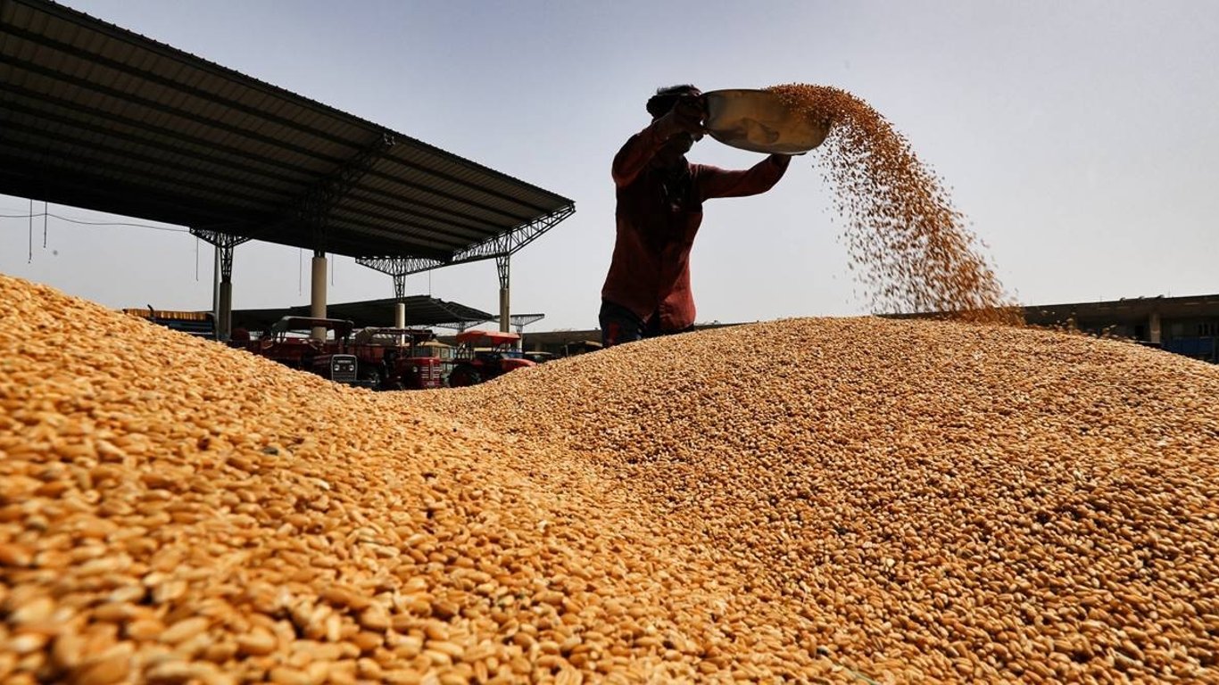Увеличение цены на зерно на 1% приводит к голоду 10 миллионов человек — ООН