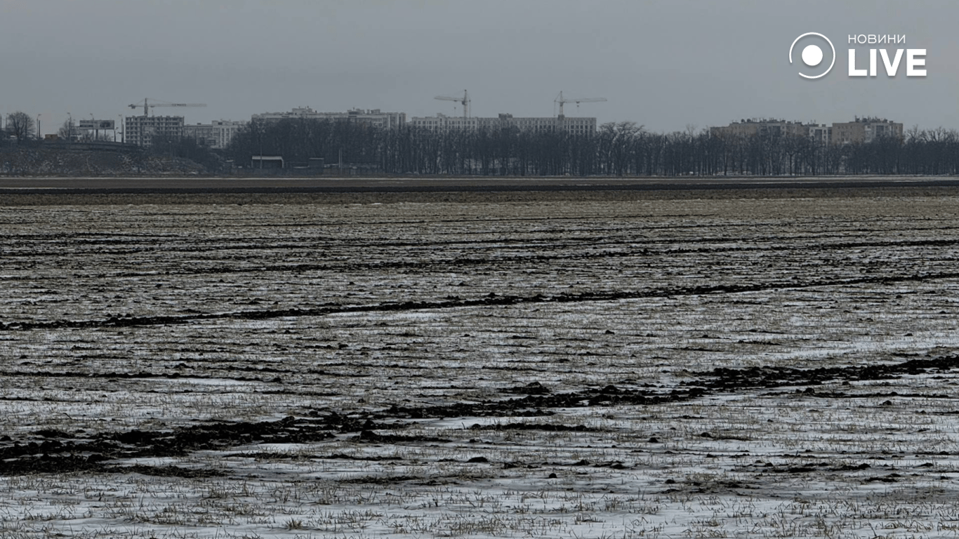 Виснажений ґрунт та зледеніння – чи буде врожай на Одещині у 2026 - фото 7