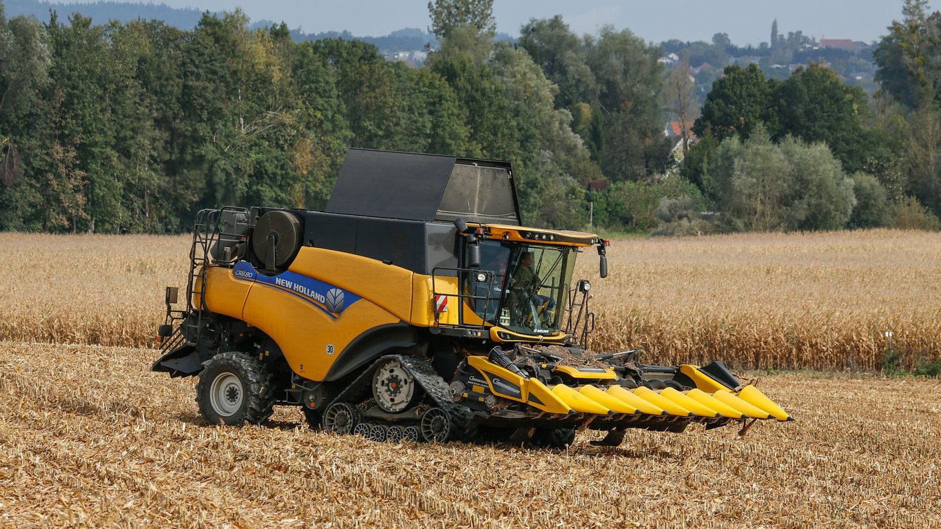 Ціни на зернові в Україні станом на 16 липня 2024 року