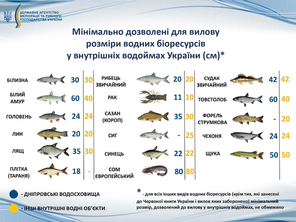 Беріть лінійку та ваги — в Україні встановлено мінімальні розміри риби для лову