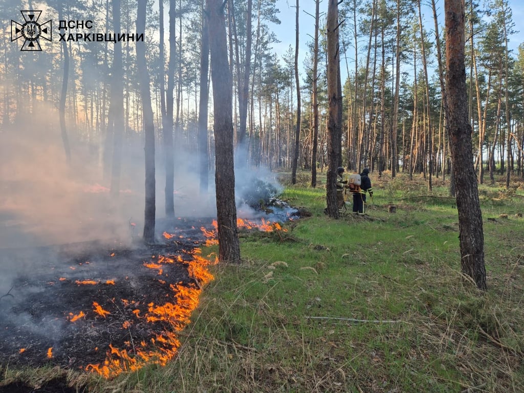 Через російські обстріли горять ліси — в ДСНС показали вогняні кадри - фото 4