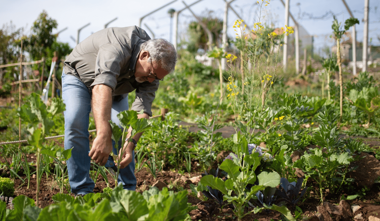 Що робити садівнику та городнику у серпні — список завдань