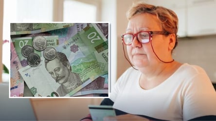 Украинцы могут оформить помощь в 38 000 грн: где доступна - 285x160