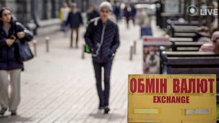 В Украине резко подешевел доллар — ситуация на рынке перед выходными - 285x160