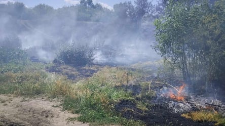 В Одессе снова горели склоны — на этот раз возле "Ланжерона" - 285x160