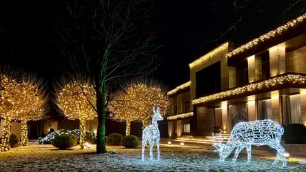 Новогодняя иллюминация — как не нарушить закон, украшая дом - 290x160