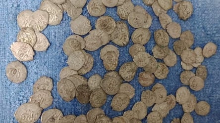На Одещині знайшли скарб Кримського ханства — що відомо - 290x166