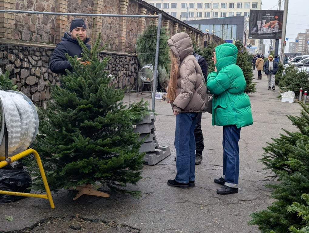 Цены на елки