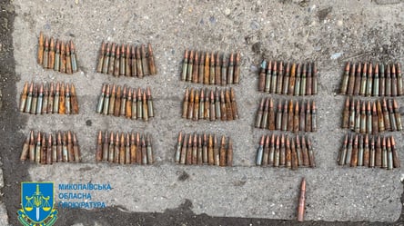 Собирали и продавали оружие оккупантов — в Николаевской области разоблачили торговцев боеприпасами - 285x160