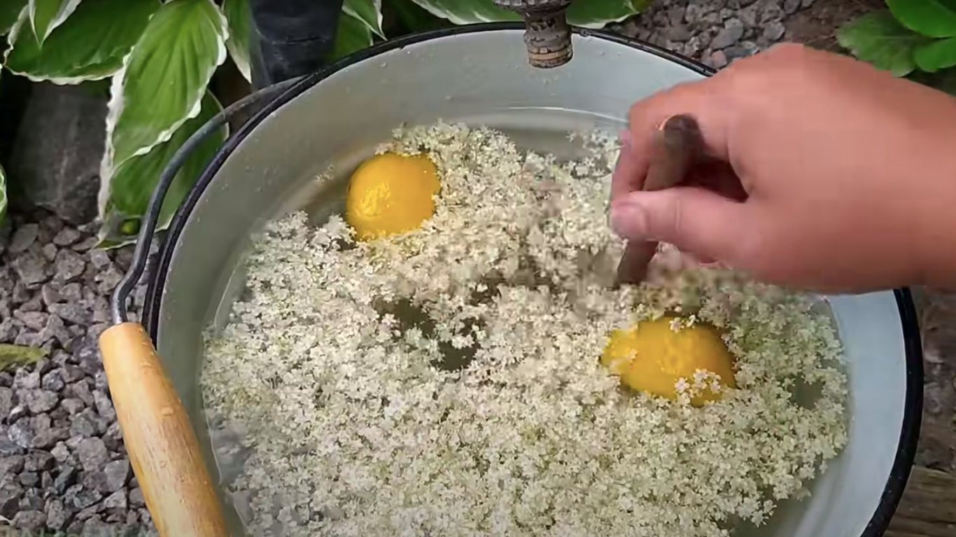 простой рецепт кваса из бузины