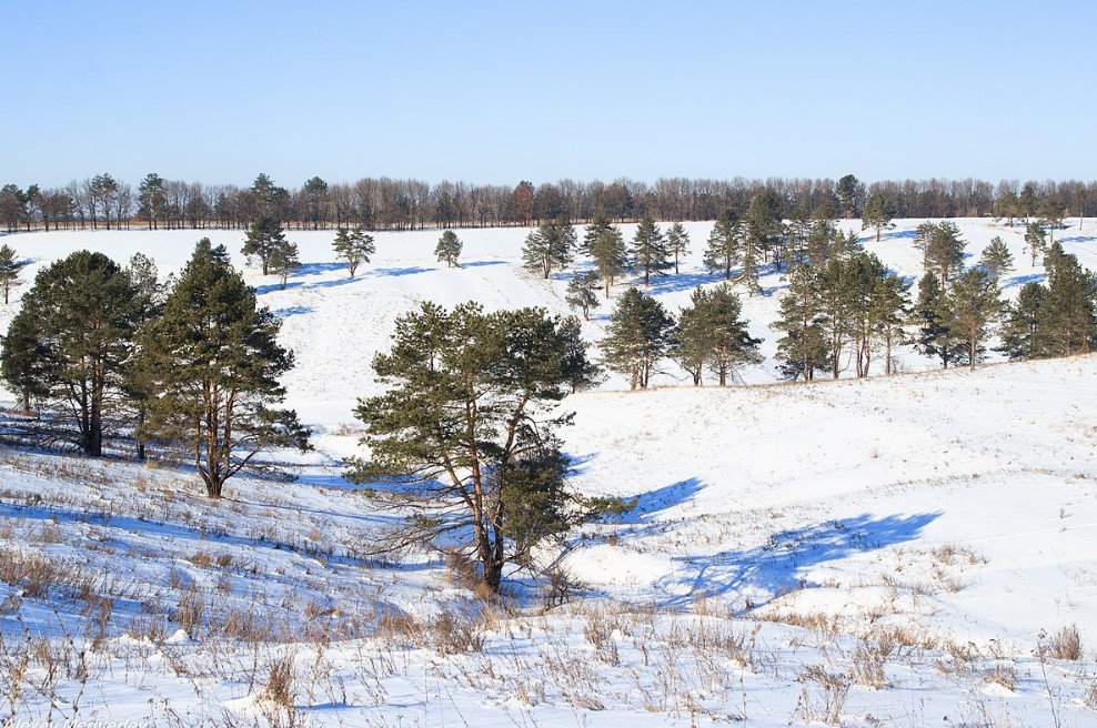 Куди поїхати на 8 Березня — топ-4  локації за годину від Києва - фото 3