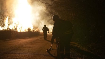 Росіяни вдарили по Запорізькій області — перші фото ліквідації - 285x160