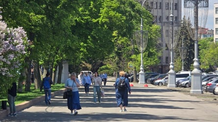 Харків квітне попри війну: життя під ворожими обстрілами - 290x166