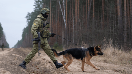 ДПСУ: біля кордону з Білоруссю ударного угруповання РФ немає - 285x160