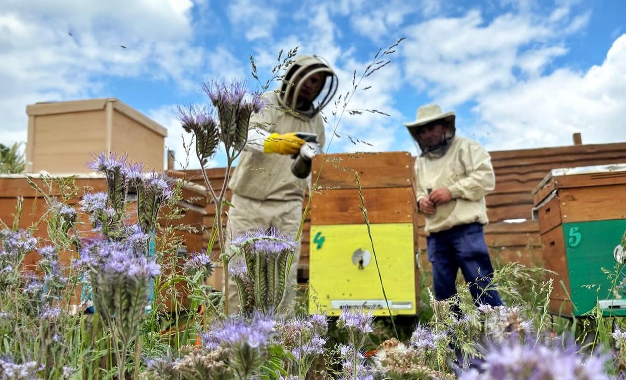 Що потрібно майбутнім бджолярам для старту