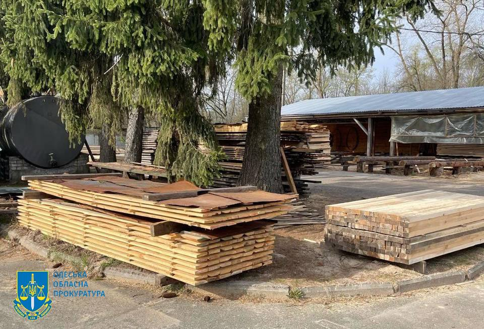 Древесина для стран ЕС на Одесчине задержали котрабандиста - фото 1