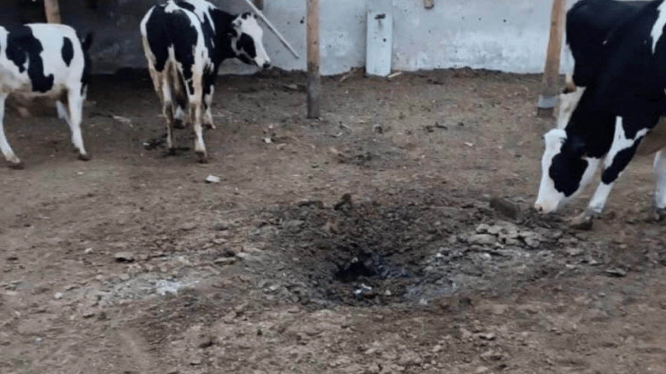 Окупанти обстріляли сільськогосподарське підприємство в Херсонській області: загинули тварини