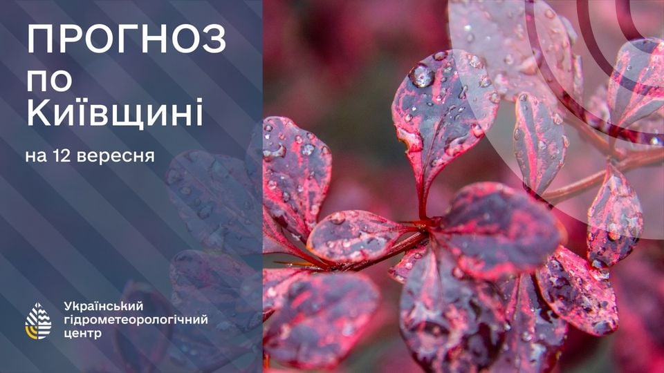Погода в Києві. Фото: Укргідрометцентр