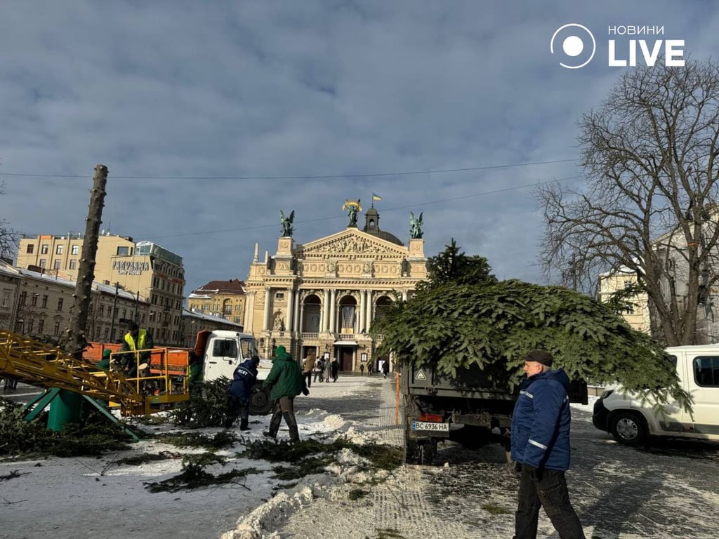 Демонтаж новогодней елки во Львове