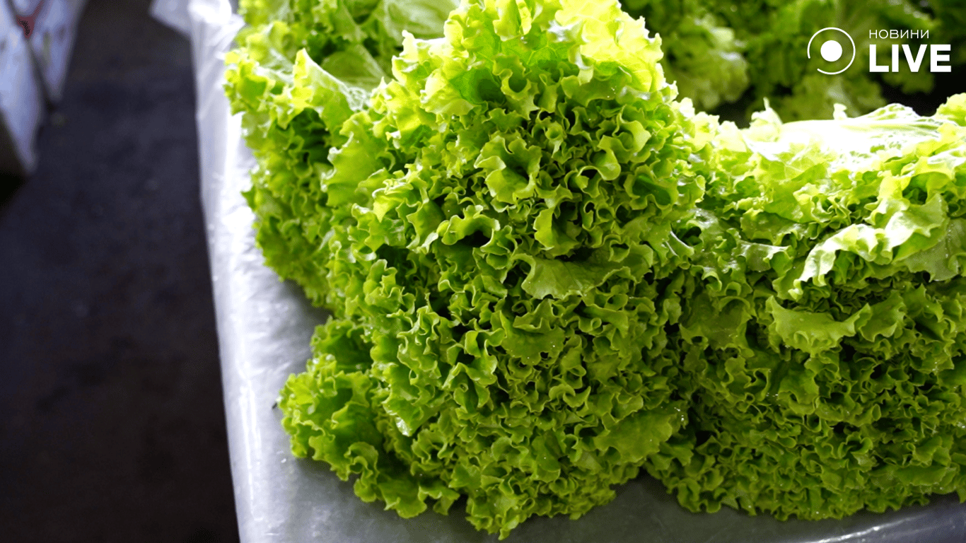 Салат на Привозі