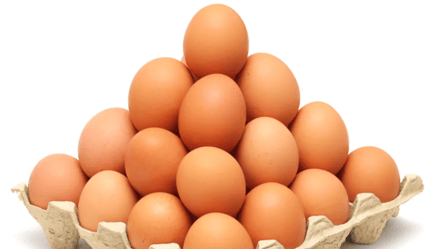 Лише 5% людей може правильно порахувати кількість яєць у лотку - 285x160