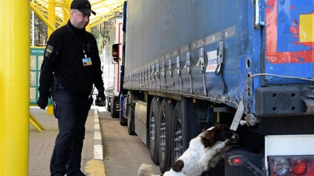 Сотні авто у черзі: на КПП з Польщею та Румунією великі затори - 290x160