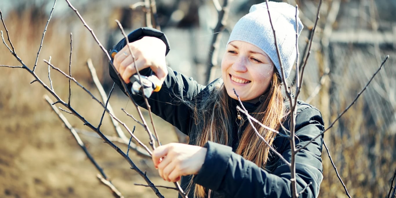 Головні заходи весняної підготовки саду