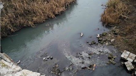 У Маріуполі окупанти провокують серйозну екологічну катастрофу: Азовське море в небезпеці - 285x160