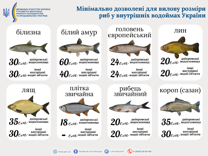 Зимняя рыбалка — без чего можно получить штраф в 2026 году - фото 1