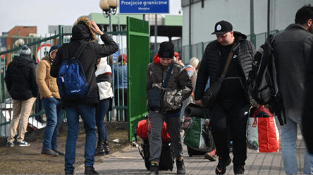 Повернення чоловіків-біженців з-за кордону — нардеп розповів про нюанси - 290x160