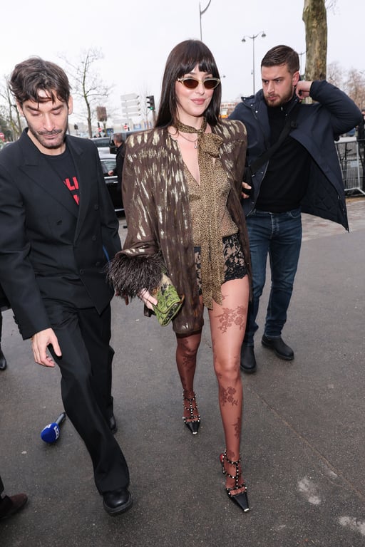 Образ Дакоти Джонсон з ефектними туфлями